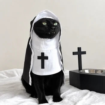 Kot w kostiumie Zakonnicy